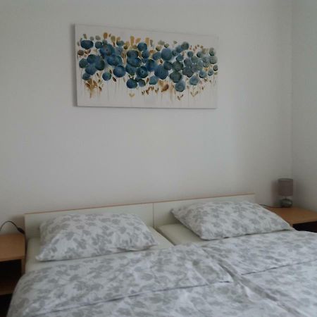 Apartment Hinic Vrhovine المظهر الخارجي الصورة