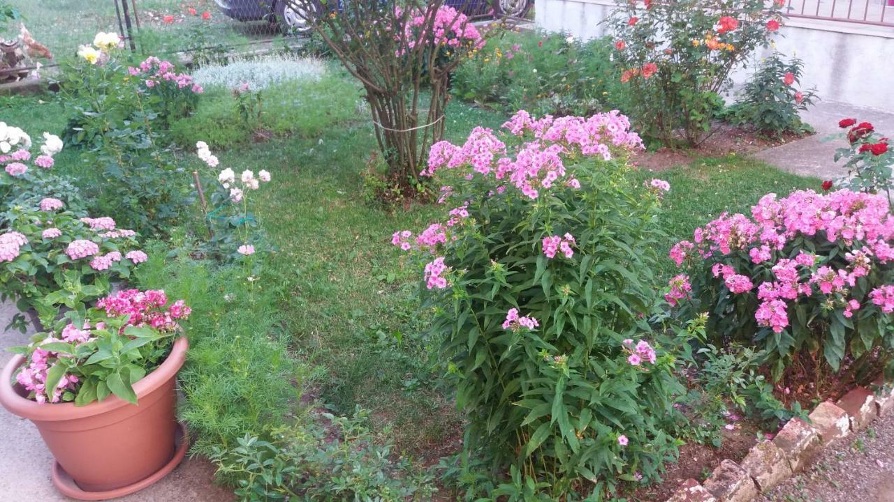Apartment Hinic Vrhovine المظهر الخارجي الصورة